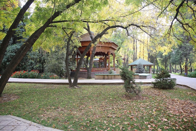 beautiful wooden oriental gazebo in the park