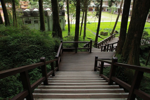 Beautiful wooden walkway in Alishan National Forest Recreation Area in Chiayi County, Alishan Township, Taiwan