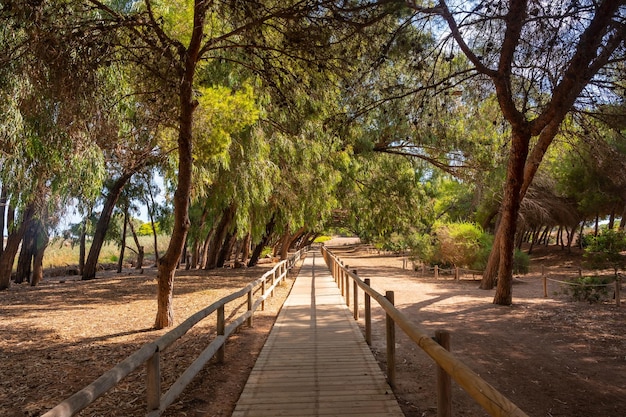 Beautiful wooden walkway on the path of the Lagunas de la Mata Natural Park in Torrevieja Alicante