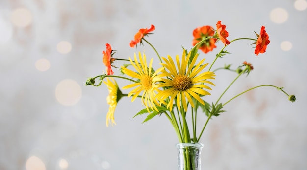 Beautiful yellow and red wildflowers on light