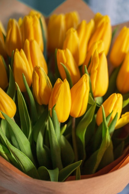 Beautiful yellow tulips Spring flowers Women's Day