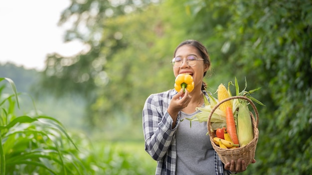 Beautiful young brunette Portrait Famer Woman hand holding Vegetables in the bamboo basket on green