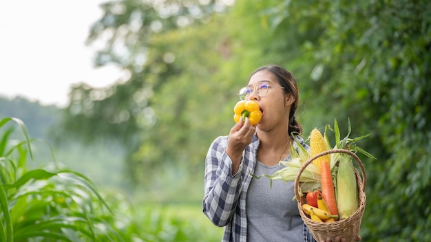 Beautiful young brunette Portrait Famer Woman hand holding Vegetables in the bamboo basket on green