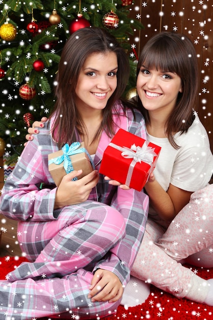 Beautiful young sisters twins. Christmas and New Year