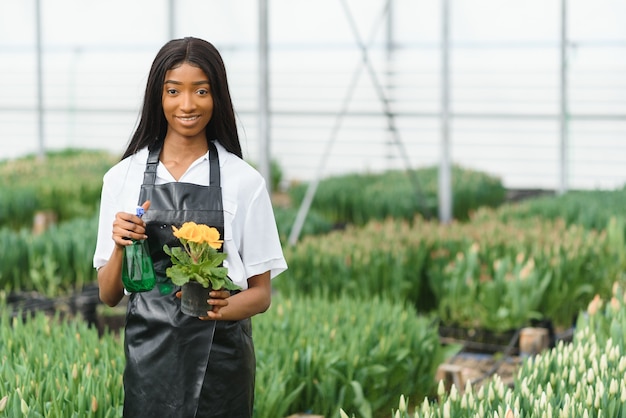 Beautiful young smiling african american girl, worker with flowers in greenhouse.