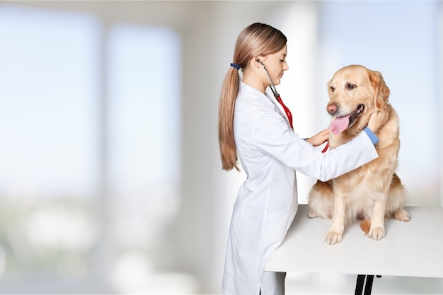 Beautiful young veterinarian with a dog on a white background