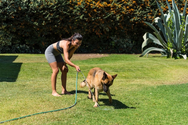 Beautiful young woman hosing down her pet sheepdog in the garden of her home on a sunny day