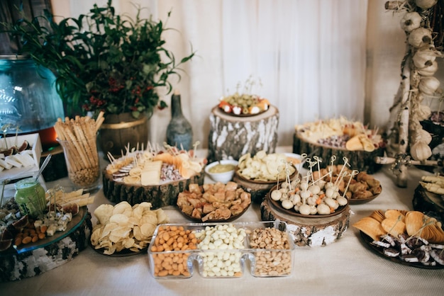 Beautifully decorated catering banquet table with cold snacks weat cheesex9