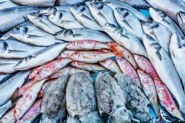 Beautifully laid out on the counter is a fresh catch of fish.