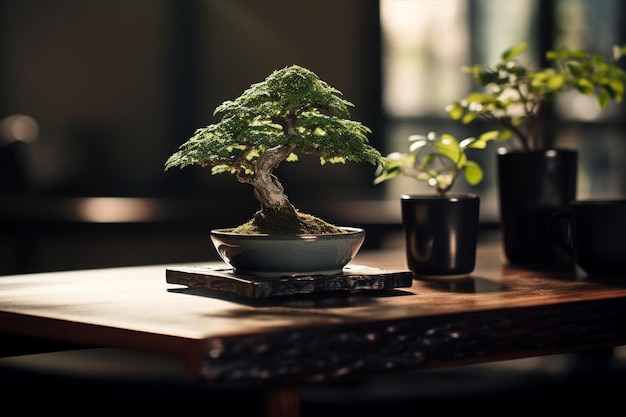 Beautifully Nurtured Bonsai Tree