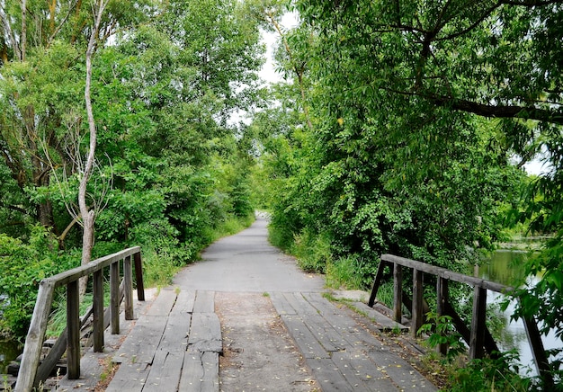 Beautifully standing old wooden bridge over river in colored background