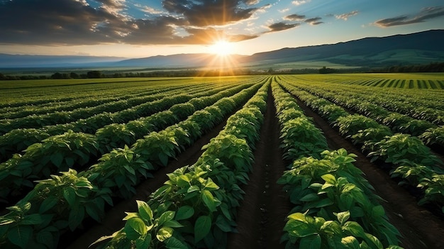 The Beauty of Agriculture A Captivating View of Potato Plantations Generative AI