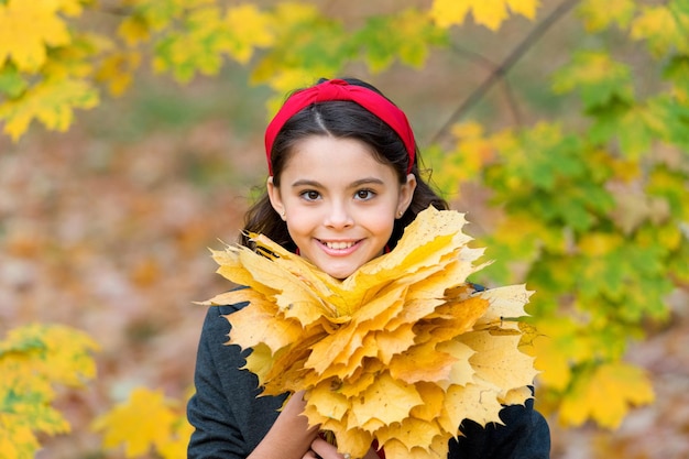 Beauty in autumn style girl gather yellow maple leaves kid in park fall is a time for school good weather for walking outdoor child hold autumn leaves beauty of nature happy retro girl