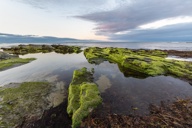 The beauty of the beaches of northern Spain with the moss on its rocks