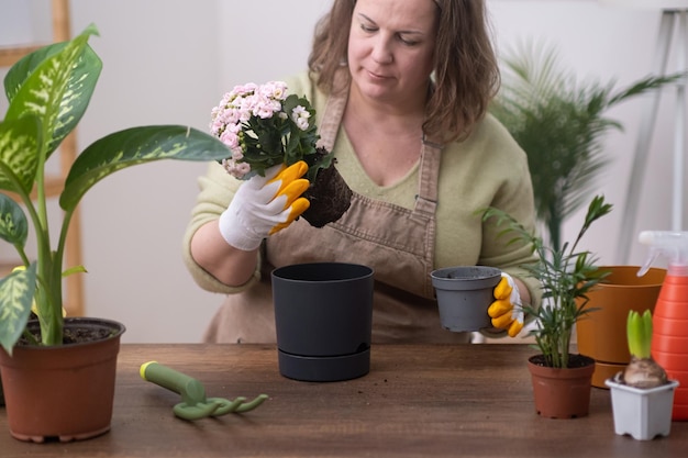 Beauty of home gardening hobby take care of her potted plants watering and repotting wooden table