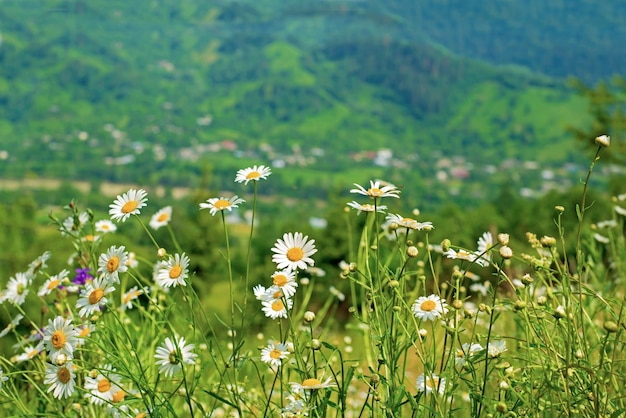 Beauty of nature travel in the mountains beauty of nature in the mountains