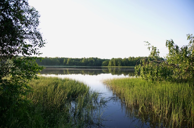 the beauty of the summer landscape