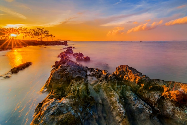 Beauty sunset and magrove tree on Tanjung Pinggir beach