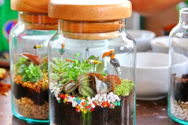 Beauty terrarium decoration by little acessory in small bottle