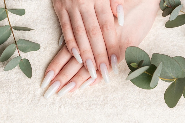 Beauty treatment nice manicured woman fingernails