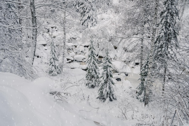 Beauty winter landscape with fair trees and river under the snow