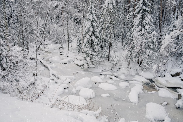 Beauty winter landscape with fair trees and river under the snow