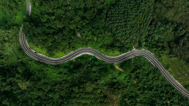 Beautyfull curve road on green forest in the rain season background rural routes connecting cities in the north of thailand