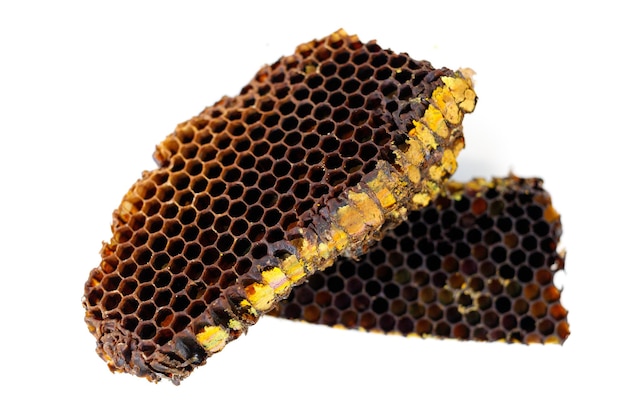 Bee pollen in honeycomb isolates Bee pollen is a bee product from an apiary