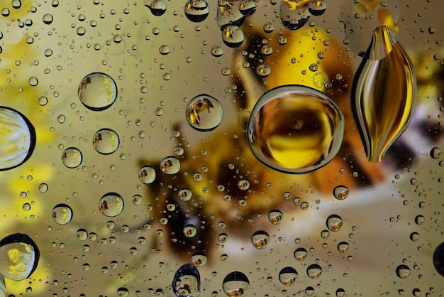 A bee seen through a glass full of water drops