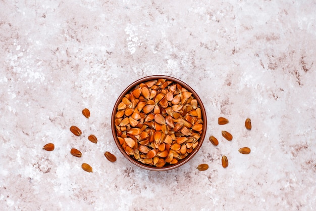 Beech nuts on concrete, top view