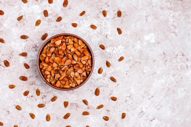 Beech nuts on concrete, top view