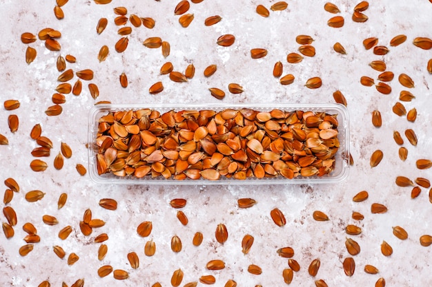 Beech nuts, top view