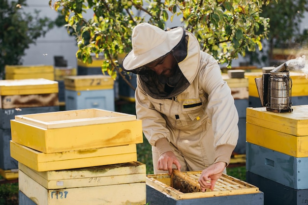 The beekeeper holds a honey cell with bees in his hands Apiculture Apiary Working bees on honey comb Honeycomb with honey and bees closeup