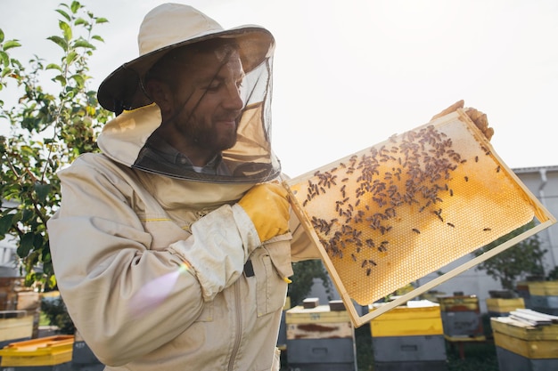 The beekeeper holds a honey cell with bees in his hands Apiculture Apiary Working bees on honey comb Honeycomb with honey and bees closeup