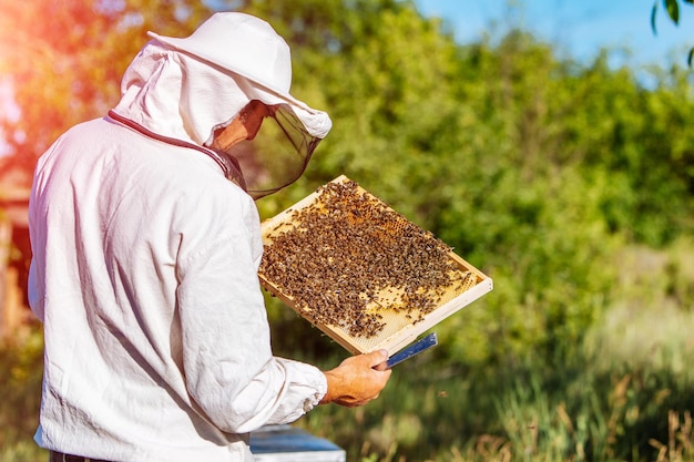 Beekeeper is working with bees and beehives on the apiary Beekeeper on apiary