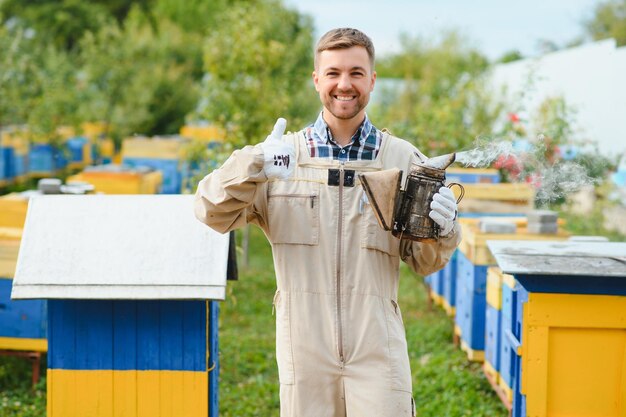 Beekeeper is working with bees and beehives on apiary Bees on honeycomb Frames of bee hive Beekeeping Honey Healthy food Natural products