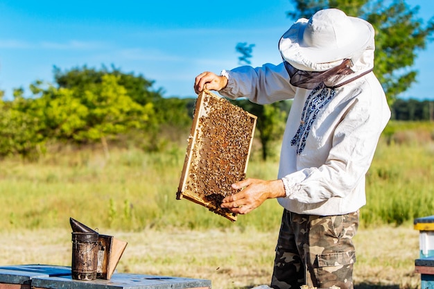 Beekeeper is working with bees and beehives on the apiary Frames of a bee hive Apiary concept