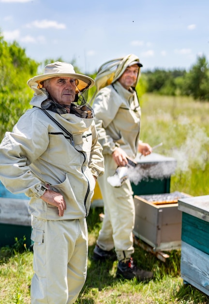 Beekeepers working in apiary Summer beekeeping worker apiarist