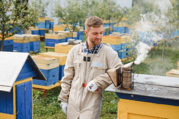 Beekeeping beekeeper at work bees in flight