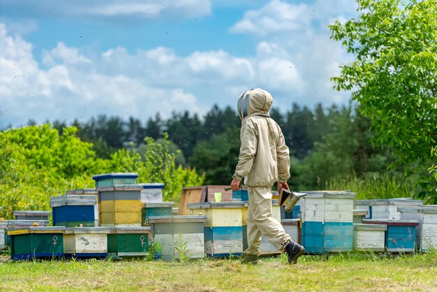 Beekeeping natural summer wooden honeycombs. Outdoor harvesting beeswax. Concept of beekeeping and small farming