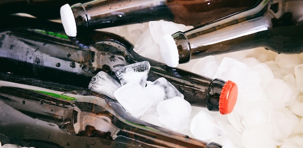 Beer bottles on ice cubes