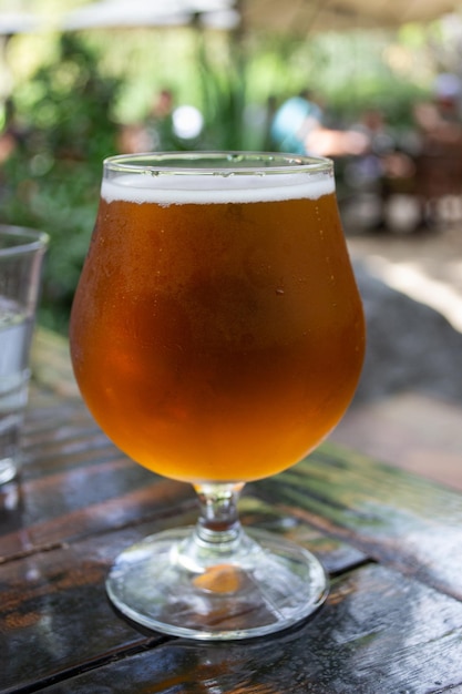 Beer glass at a brewery isolated close up