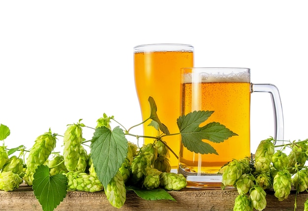 Beer in glass and mug with hops plant cones and branch isolated on white background on wooden table