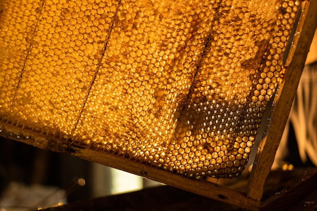 Beeswax honeycomb on wooden frame with beehive