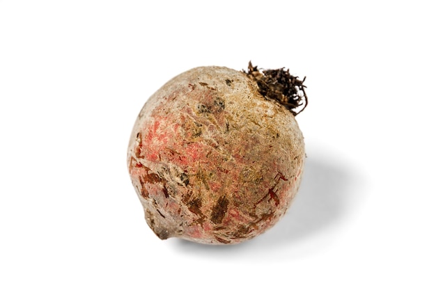 Beetroot isolated on a white background