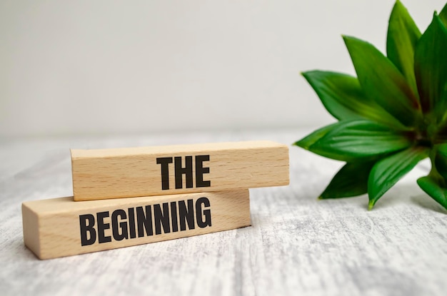 The beginning words on wooden blocks and plant