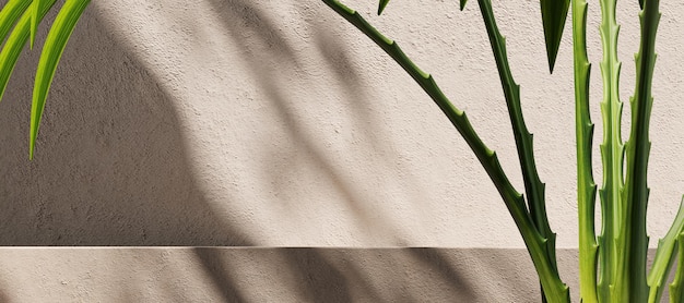 Beige cement platform and plant on beige wall sunshade on abstract background for presentation