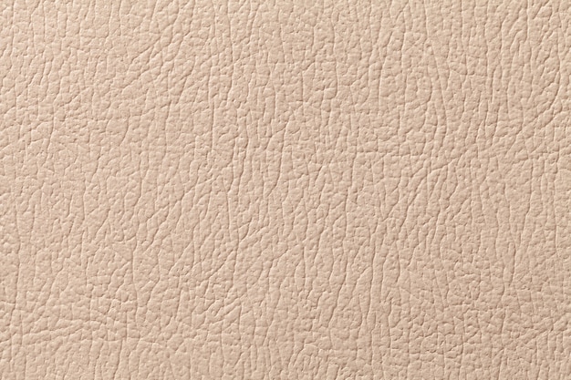 Beige leather texture background with pattern, closeup