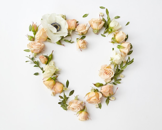 Beige roses buds arranged as heart on white background, flat lay