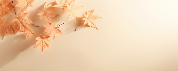 Beige Wall With Maple Leaves And Dappled Sunlight For Advertising